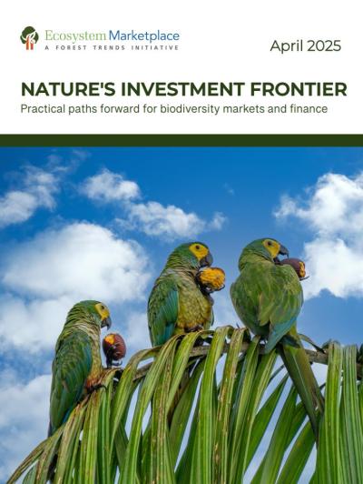Cover Nature’s investment frontier: Practical paths forward for biodiversity markets and finance