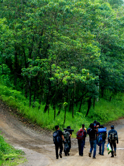 Cover Generic guide and modular training package