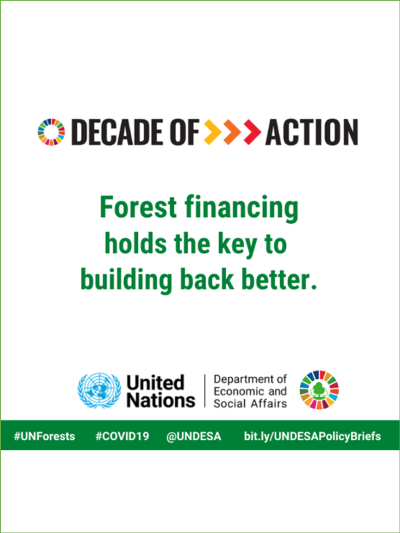 Cover Financing sustainable forest management